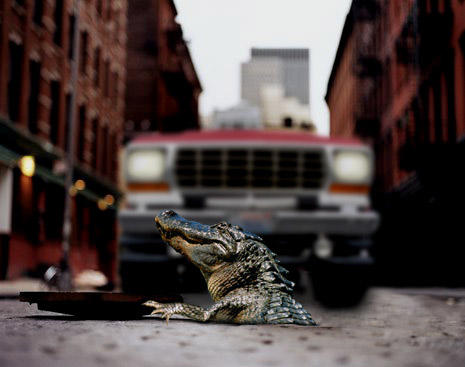 Design Photoshop par Pioner pour DesignCrowd (Community Contests) | Design #9091053