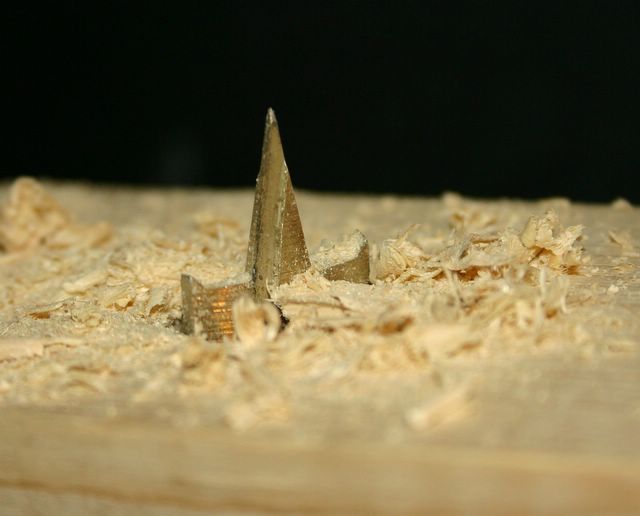 Photography by hailpurdue for DesignCrowd (Community Contests) | Design #9088237