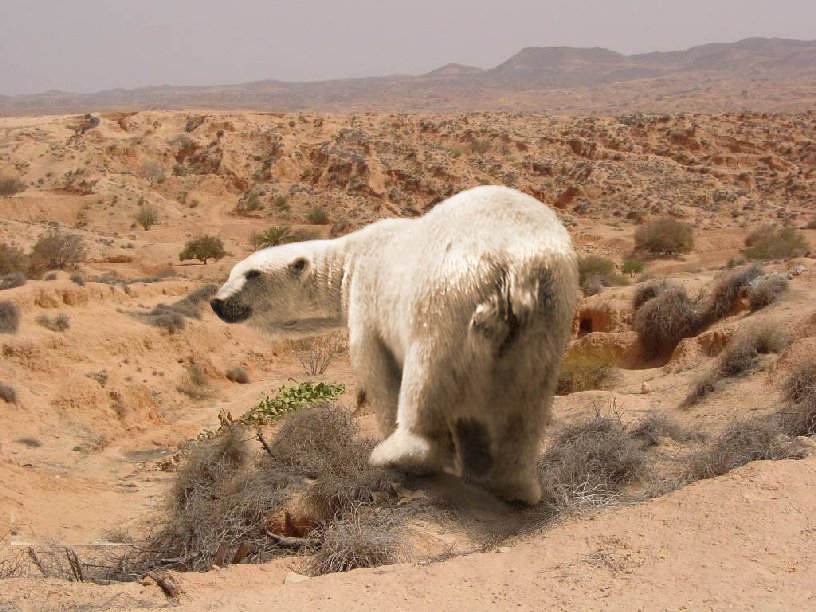 Photoshop-Design von TIOCHICO für DesignCrowd (Community Contests) | Design #9091132