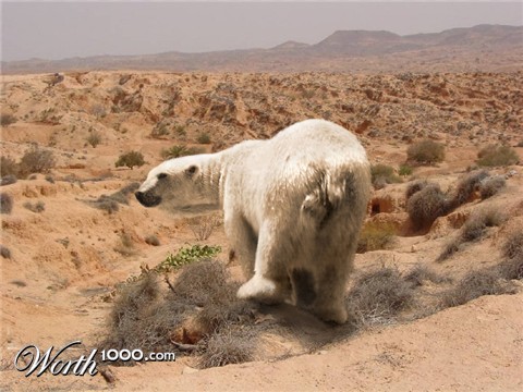 Photoshop Design by TIOCHICO