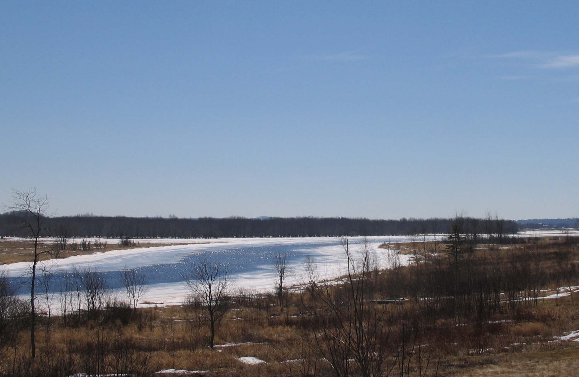 Photography by MissTish for DesignCrowd (Community Contests) | Design #9086164