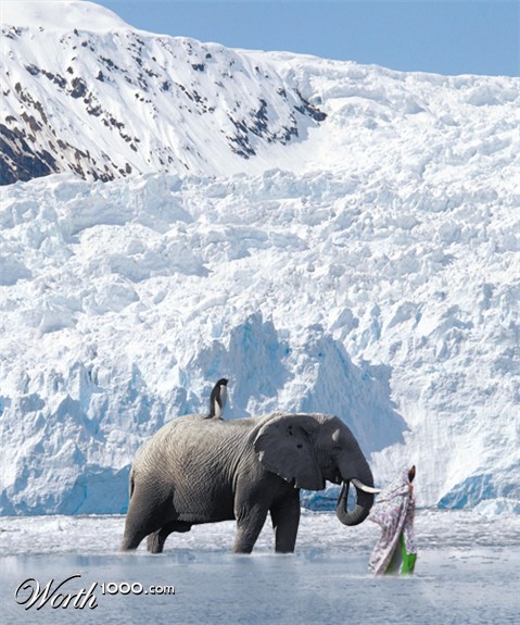 Photoshop Design by echoburst