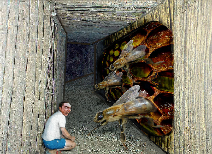 Design Photoshop par bif248 pour DesignCrowd (Community Contests) | Design #9091169