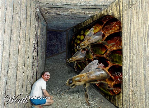 Photoshop Design by bif248