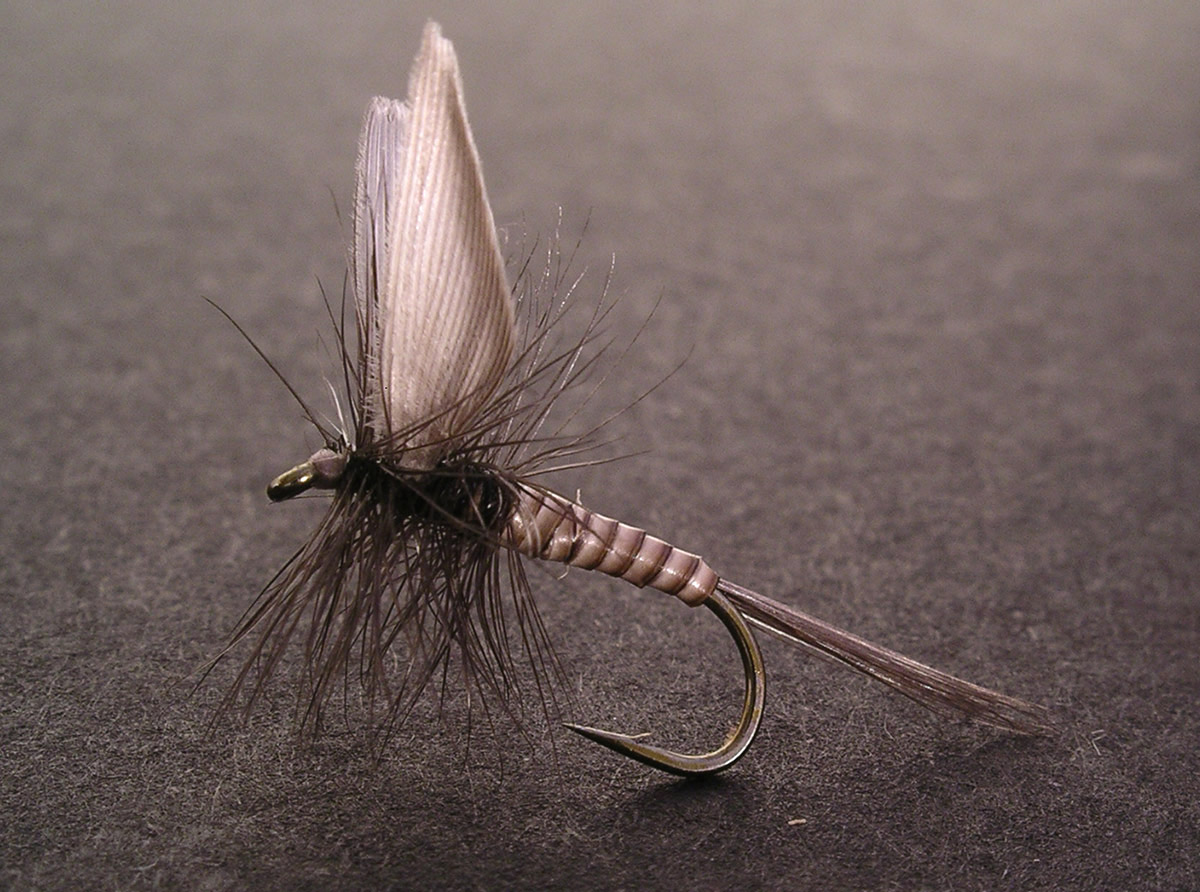 Photography by xakpeet for DesignCrowd (Community Contests) | Design #9088253