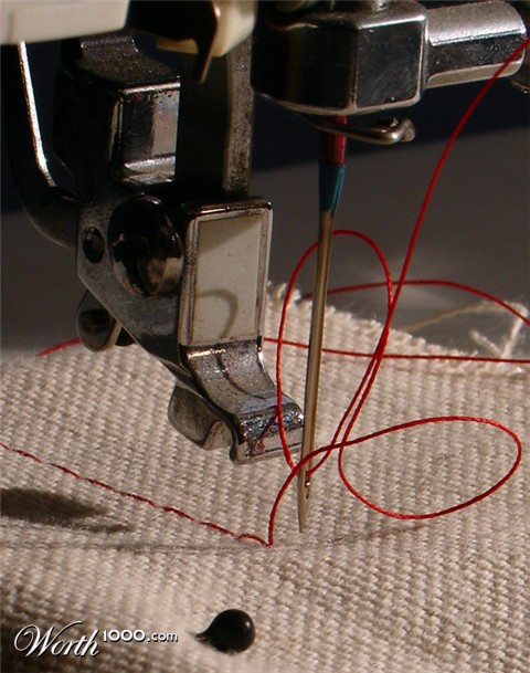 Photography by Loladiggles