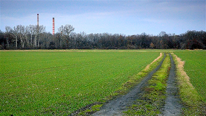 Fotografía por AndrzejW para DesignCrowd (Community Contests) | Diseño #9086167