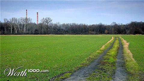 Photography by AndrzejW