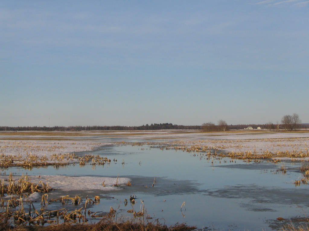 Photography by Djinny for DesignCrowd (Community Contests) | Design #9086194