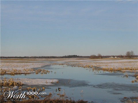 Photography by Djinny