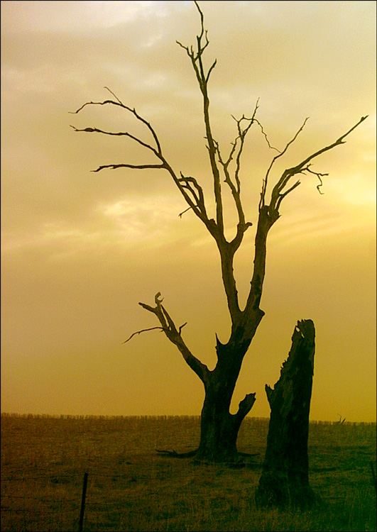Photography by Budmulla for DesignCrowd (Community Contests) | Design #9086076