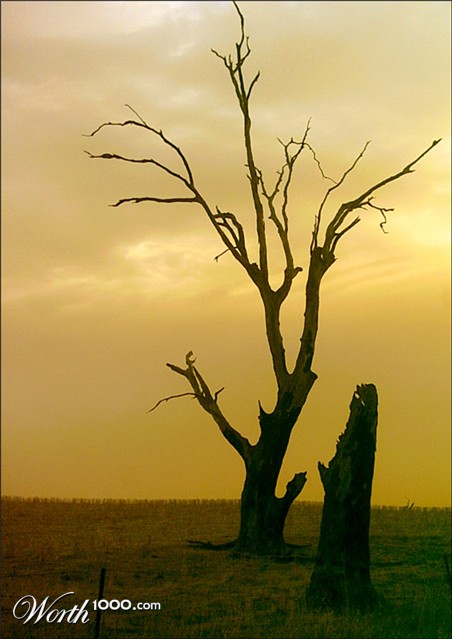 Photography by Budmulla