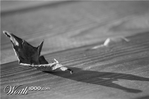 Photography by EmilBanck