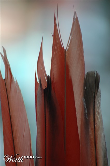 Photography by Ronbrandt