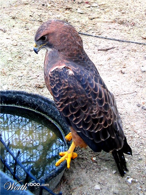 Photography by RhondaatLaw