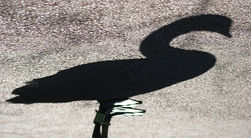 Fotografía por Riot para DesignCrowd (Community Contests) | Diseño #9088572