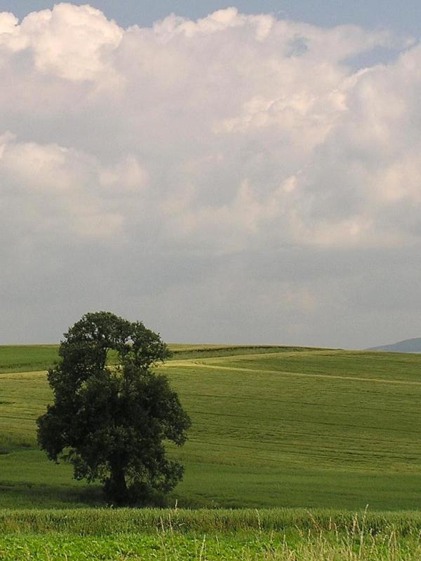 Photography by TyChO for DesignCrowd (Community Contests) | Design #9085987