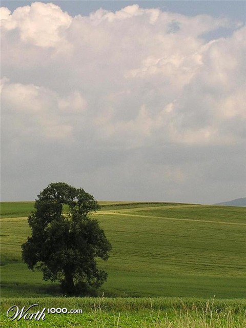 Photography by TyChO