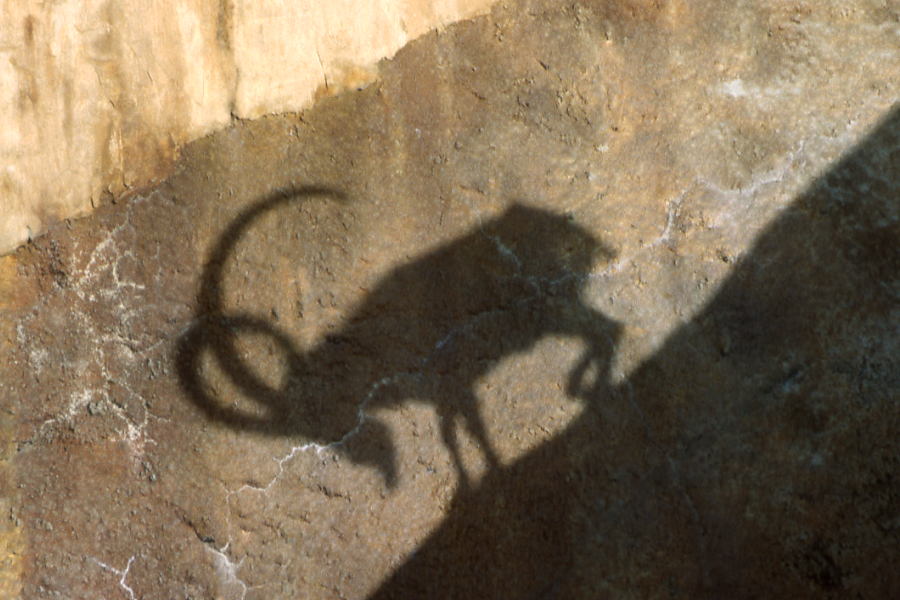 Photography by Rambis for DesignCrowd (Community Contests) | Design #9088609