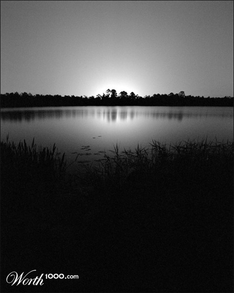 Photography by thesecretsharer