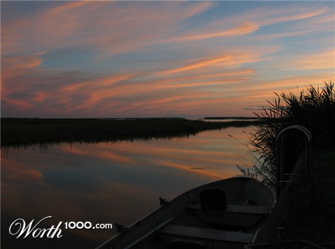 Photography by maxpower