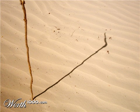 Photography by CheckMinus