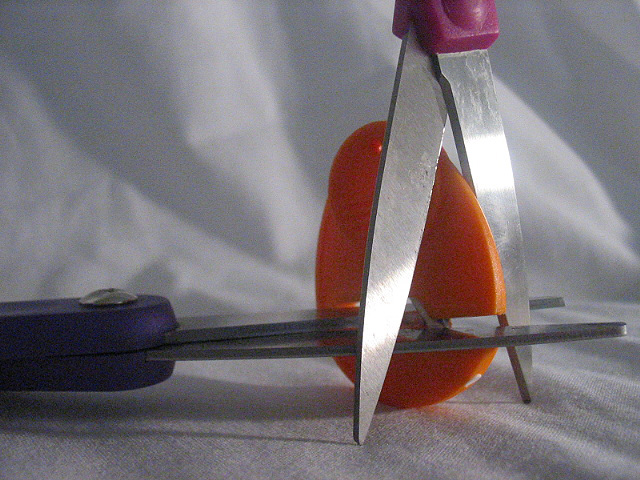 Photography by faeriefly__ for DesignCrowd (Community Contests) | Design #9088403