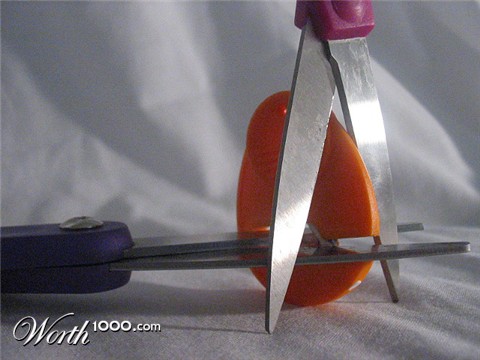 Photography by faeriefly__