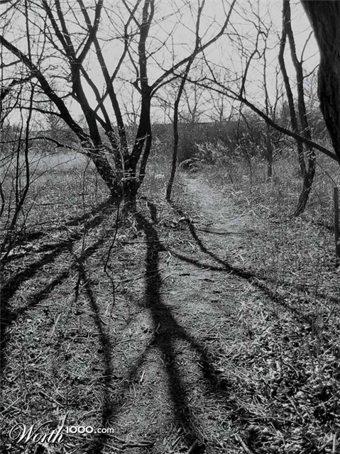 Photography by bareeska