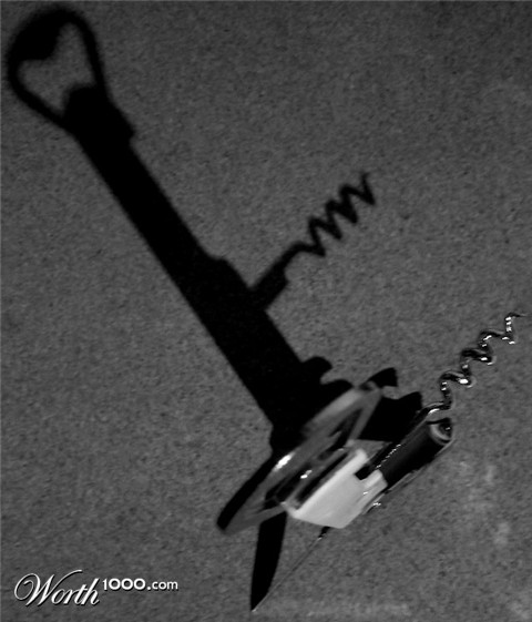 Photography by johnnymaxwell