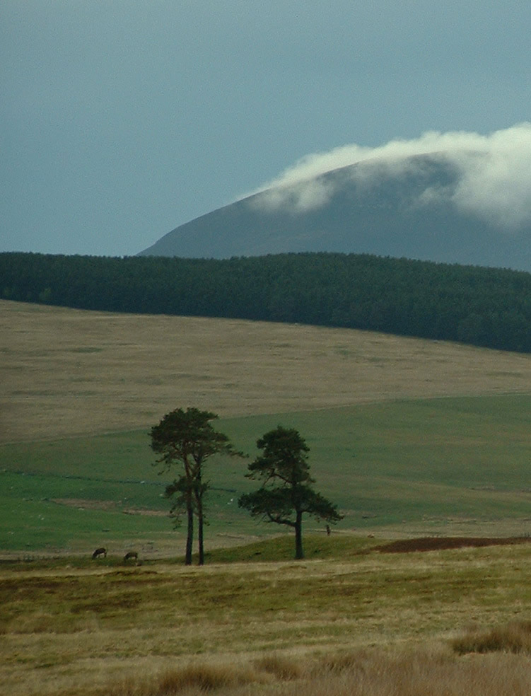 Photographie par johnnymaxwell pour DesignCrowd (Community Contests) | Design #9086110