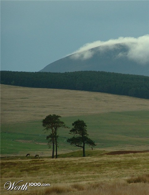 Photography by johnnymaxwell