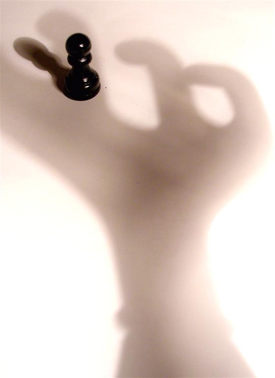 Fotografie von Chupakabra für DesignCrowd (Community Contests) | Design #9088701