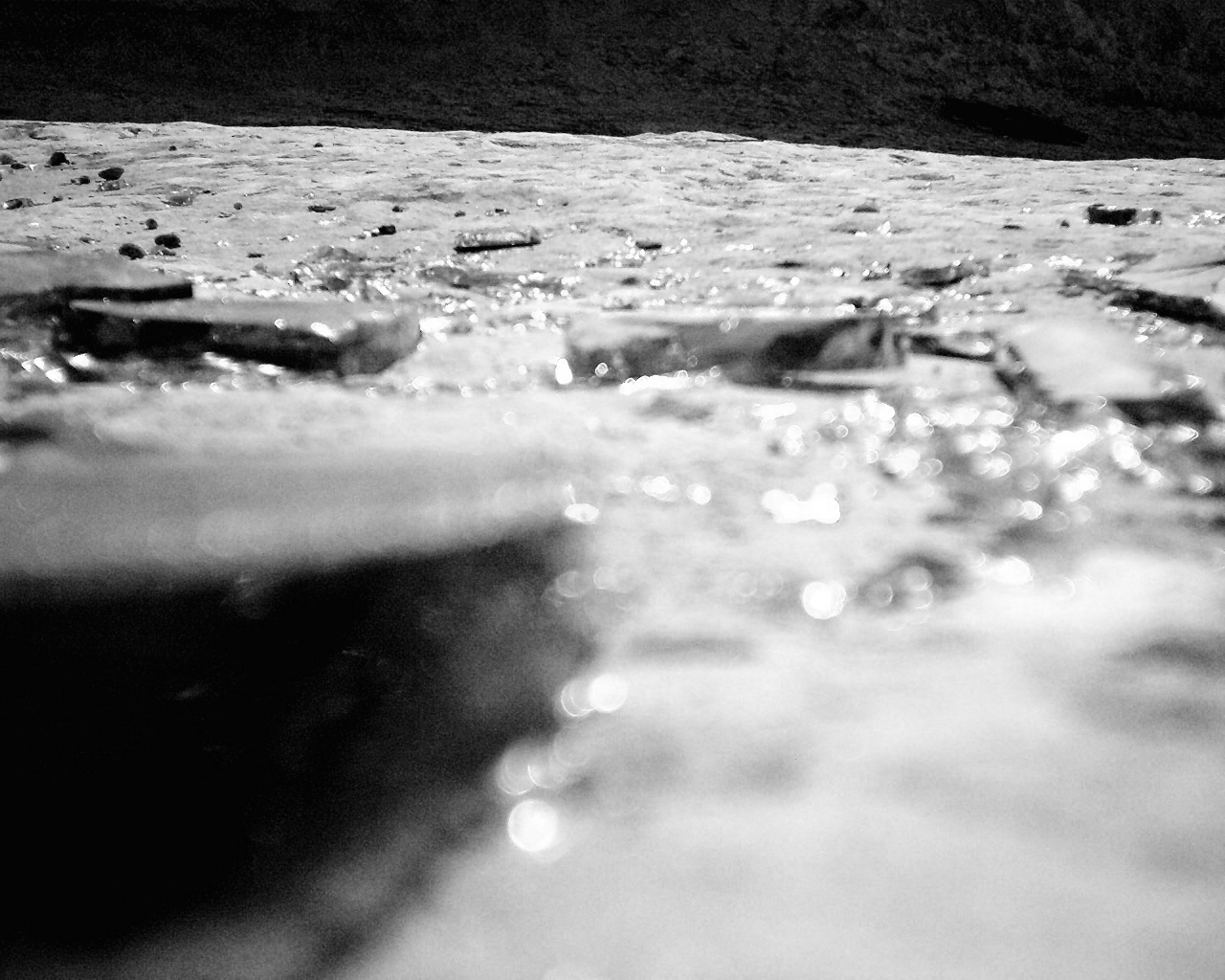 Photography by CheckMinus for DesignCrowd (Community Contests) | Design #9088361