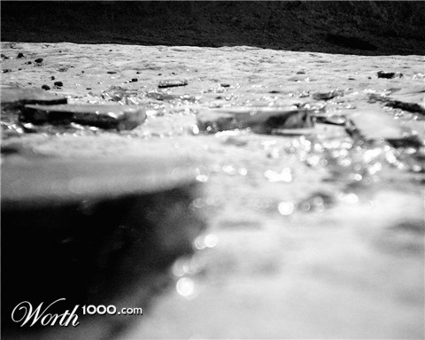 Photography by CheckMinus