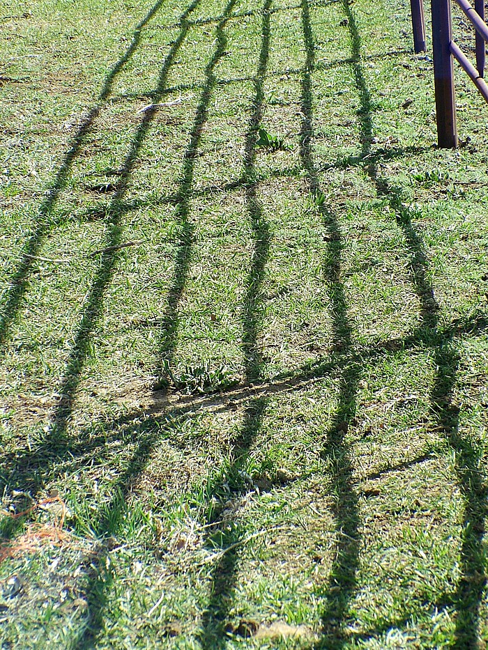 Fotografía por mmc9496 para DesignCrowd (Community Contests) | Diseño #9088699