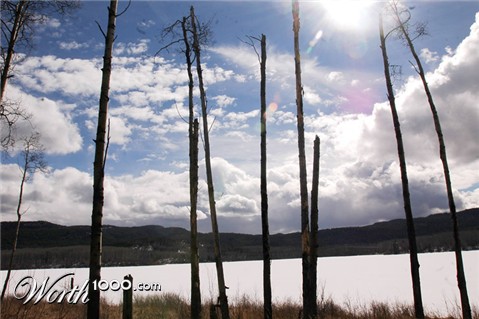 Photography by hoshkiw