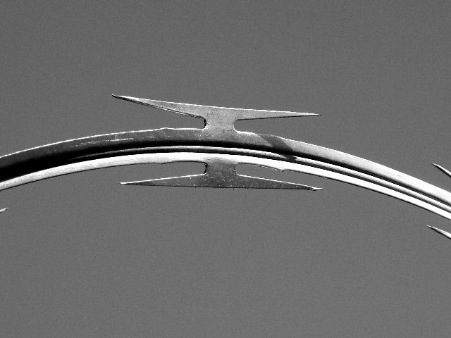 Fotografie von mmc9496 für DesignCrowd (Community Contests) | Design #9088351