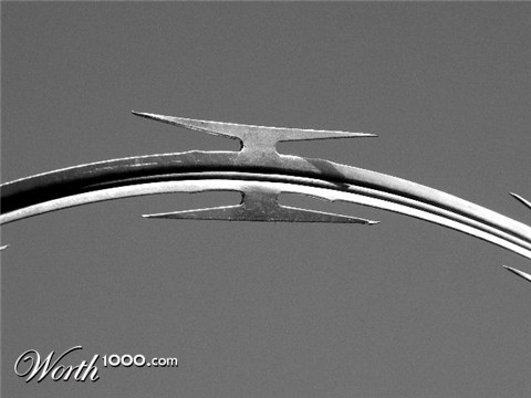 Photography by mmc9496