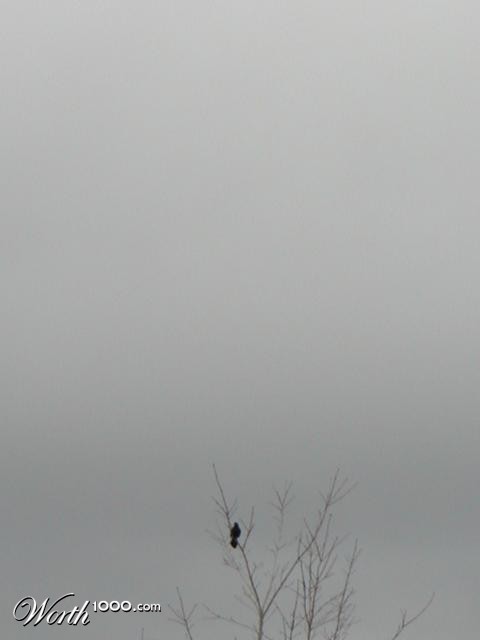 Photography by Boonshackle