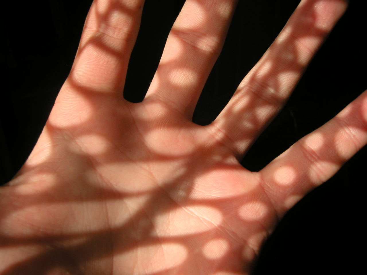 Photography by Boonshackle for DesignCrowd (Community Contests) | Design #9090631