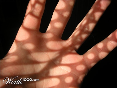 Photography by Boonshackle