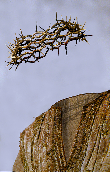 Diseño de Photoshop por StrangeWorld para DesignCrowd (Community Contests) | Diseño #9088366