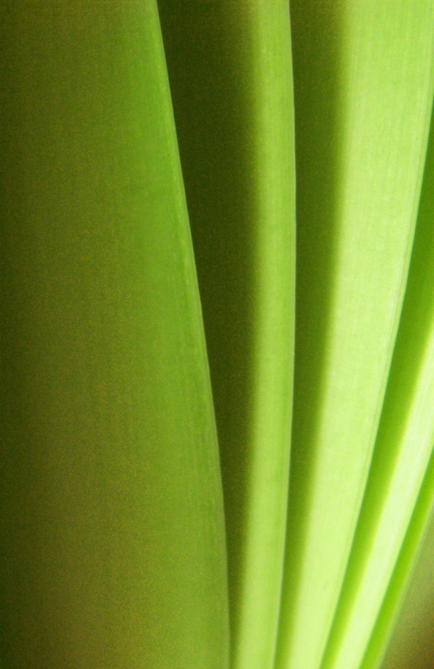 Photography by Ronbrandt for DesignCrowd (Community Contests) | Design #9090641