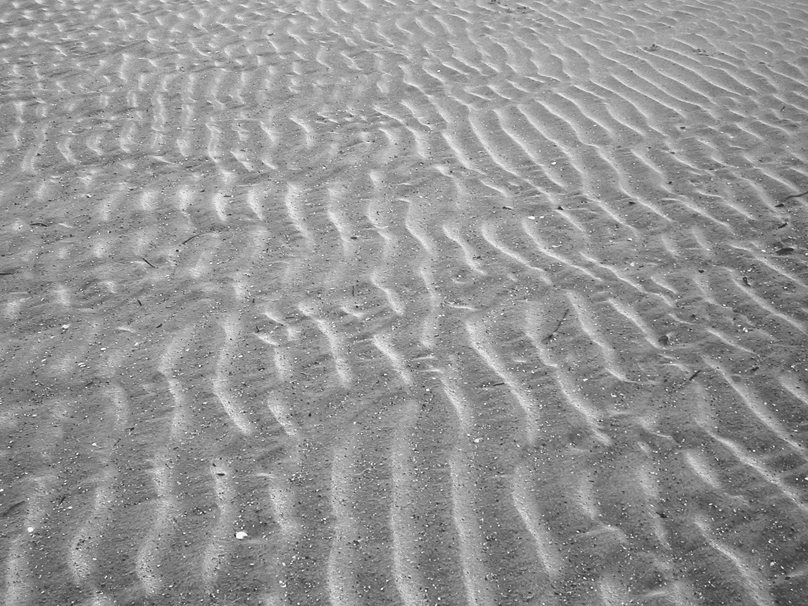 Photography by chickensinhere for DesignCrowd (Community Contests) | Design #9090639