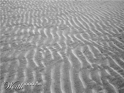 Photography by chickensinhere