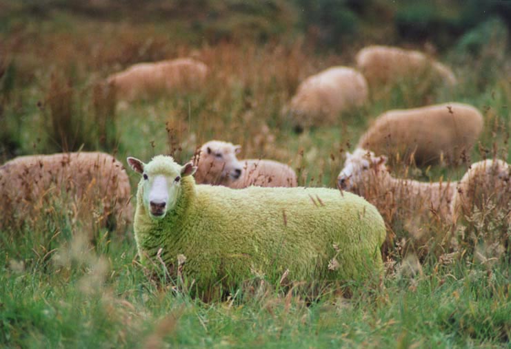 Photoshop Design by diversi0n for DesignCrowd (Community Contests) | Design #9088456