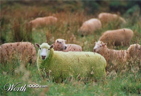 Photoshop Design by diversi0n