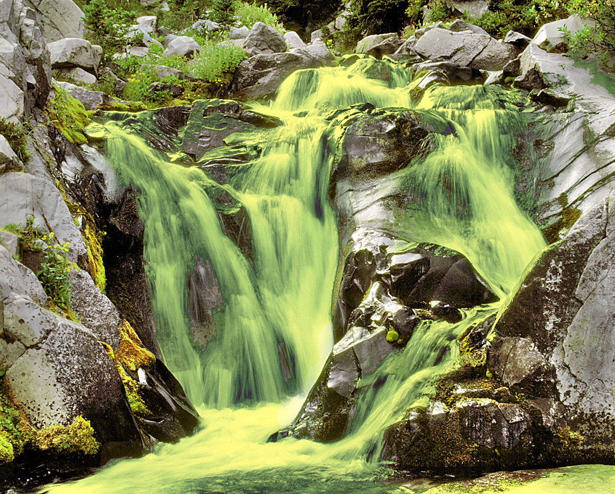 Photoshop Design by Thetick3 for DesignCrowd (Community Contests) | Design #9088443