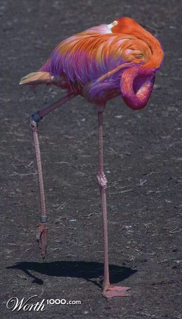 Photoshop Design by artistlee